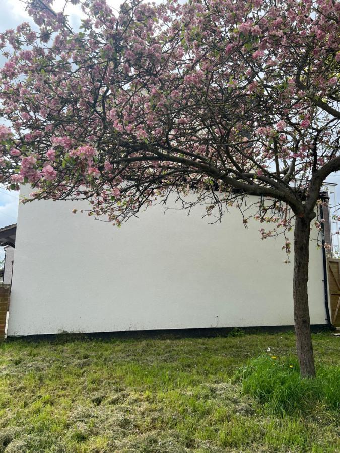 Wisdom Care: The Orpington Cutie Hotel Exterior photo